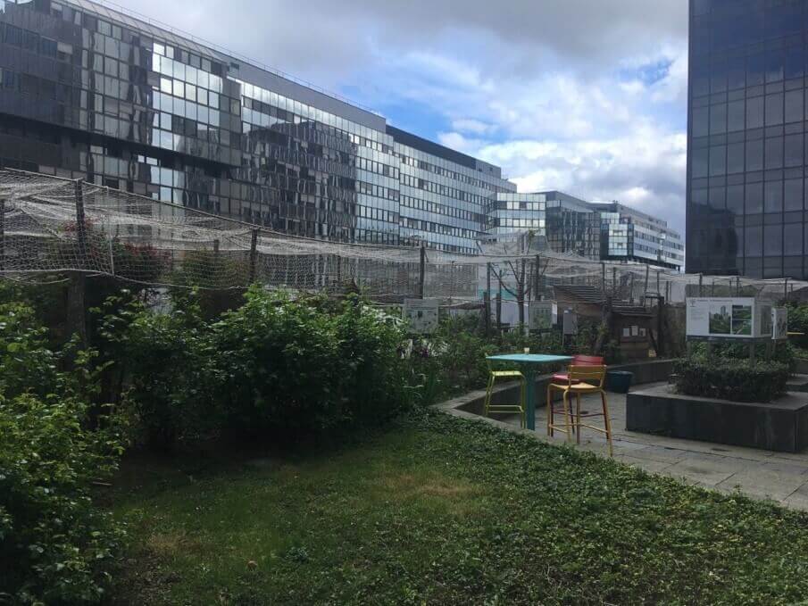 SEDD 2019 : Découverte du toit-terrasse de la Maison de la RATP | RESES