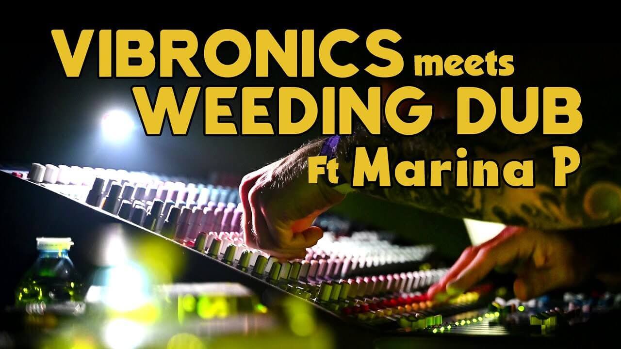 Vibronics meets Weeding Dub Ft Marina P - Last Tune in Live - PERPI NIGHT DUB #8