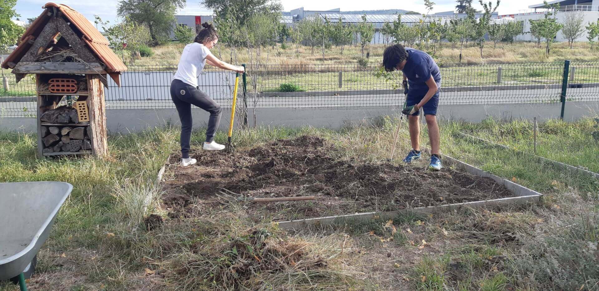 Les assos membres du REFEDD : Poly'Act | RESES