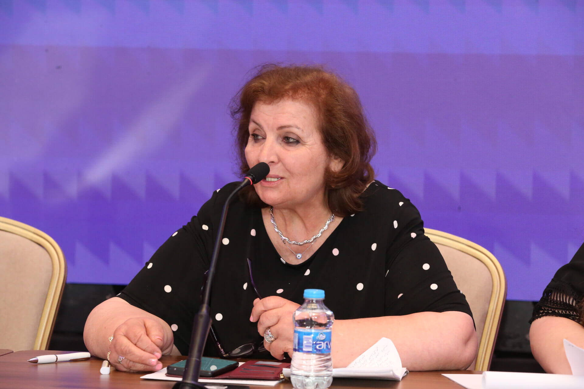 - | EFI - EuroMed Feminist Initiative