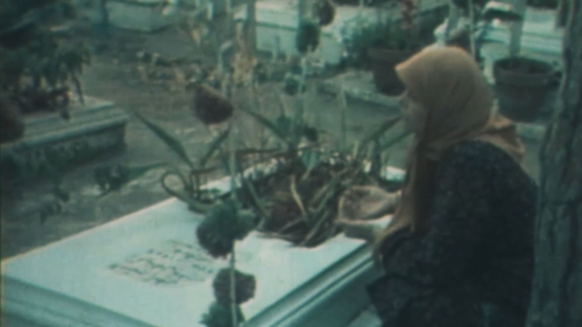 Why? | Festival Ciné-Palestine - FCP