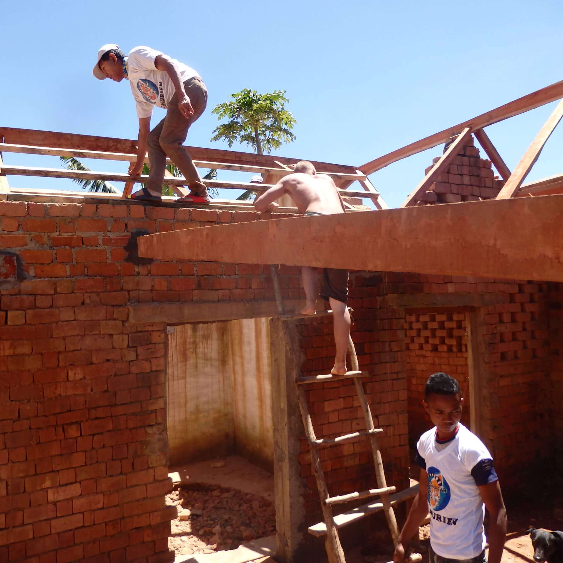 - | Le Lémurien - Maison de Madagascar