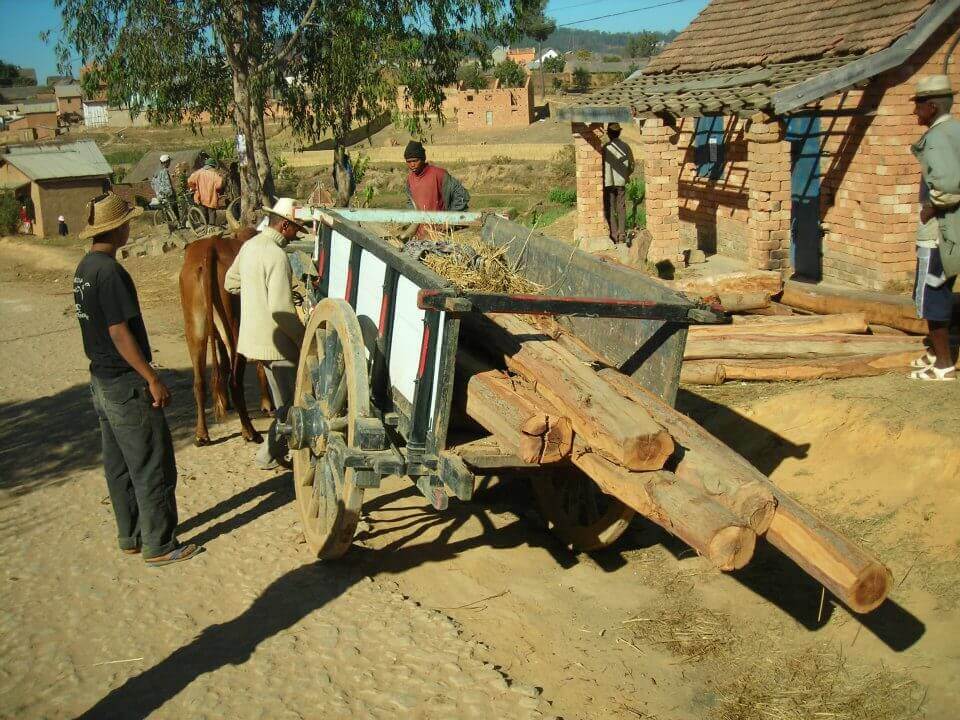 - | Le Lémurien - Maison de Madagascar