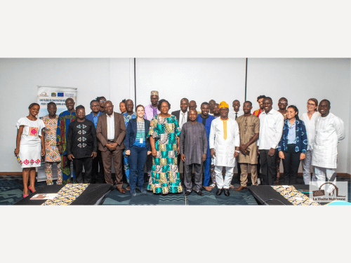 Bénin : Atelier de restitution du projet co-financé par l’UE | La Voûte Nubienne