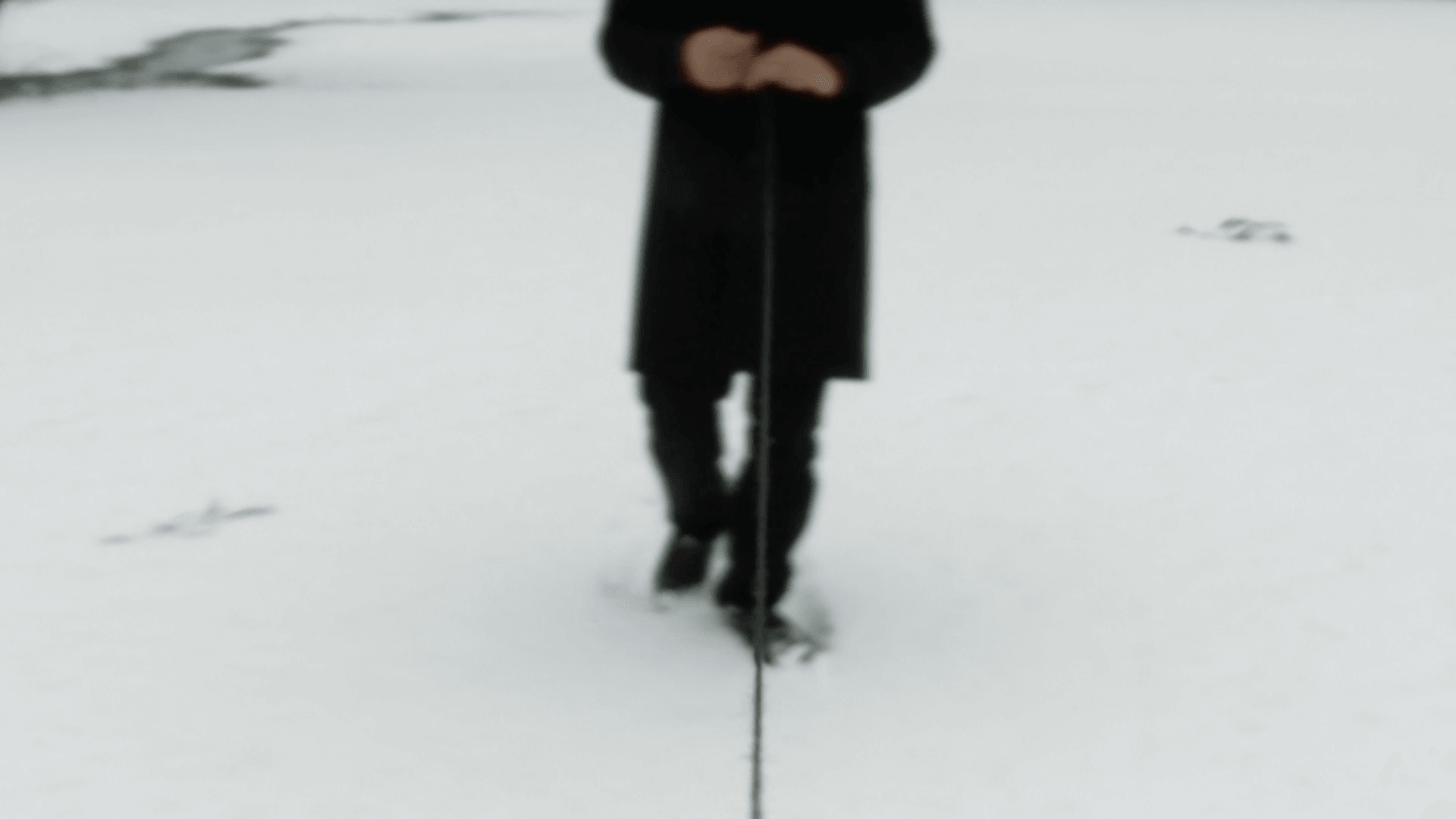 Some Strings : found image & sound, 1901-2024 « the cinema of solidarity » | Festival Ciné-Palestine - FCP