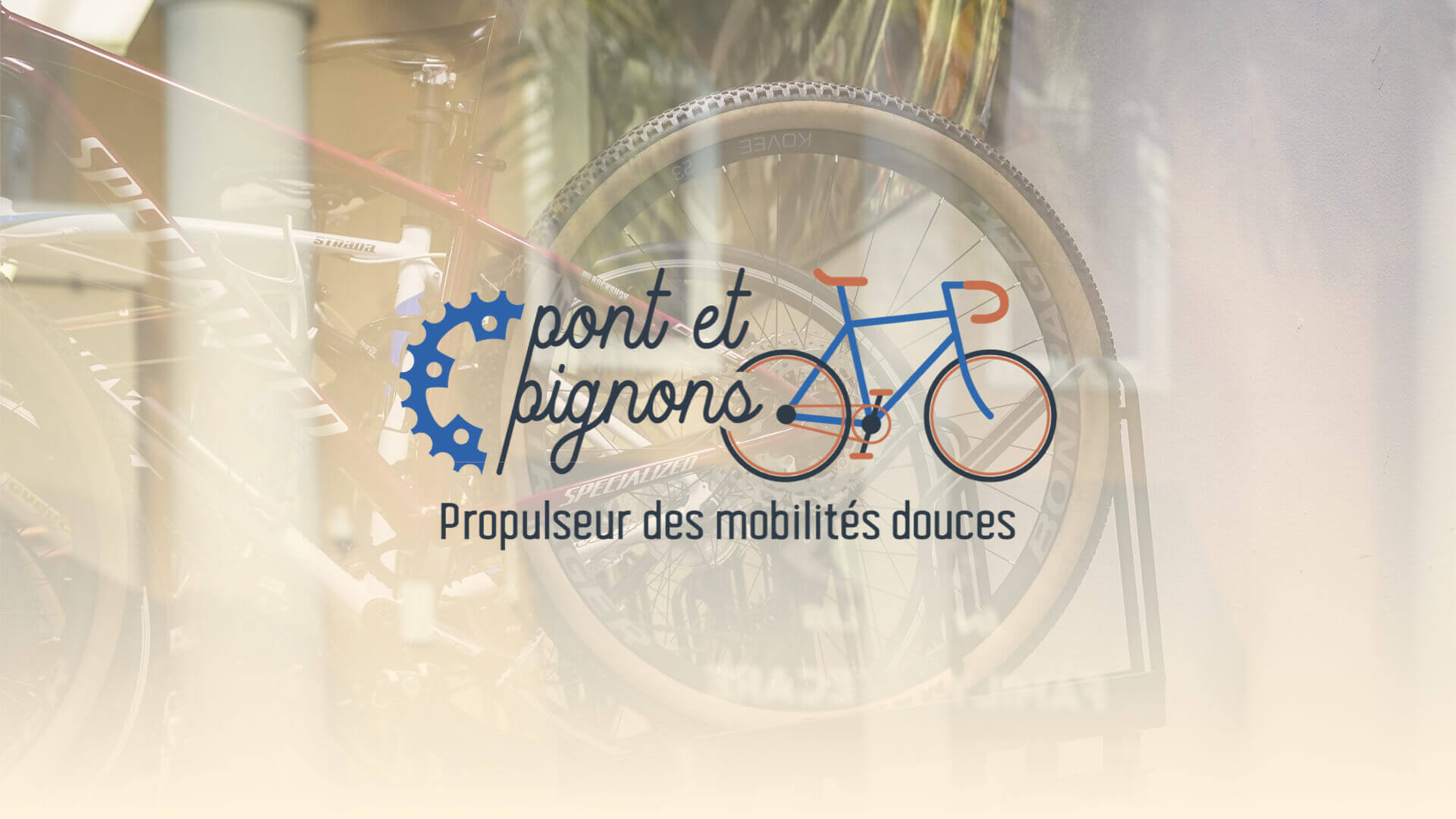 Pont et Pignons | What The Web