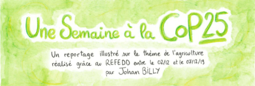 Une semaine à la COP 25 - reportage illustré | RESES