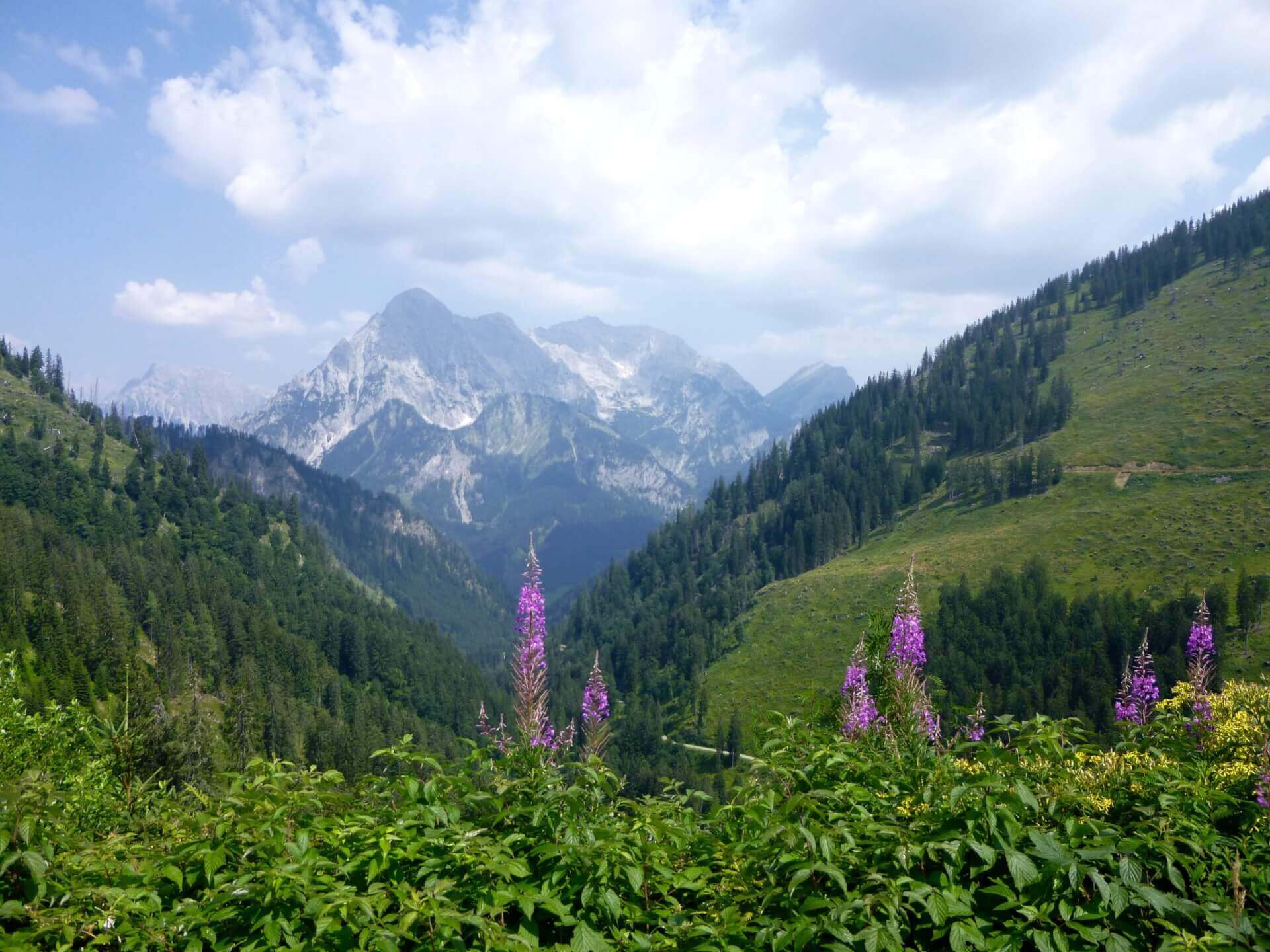 Voyager écolo des montagnes au désert | RESES