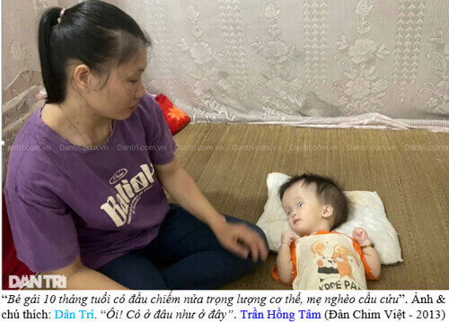 Chó Má & Thuế Má | Vietnam Fraternité