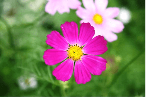 Những con đường dẫn đến Paris | Vietnam Fraternité