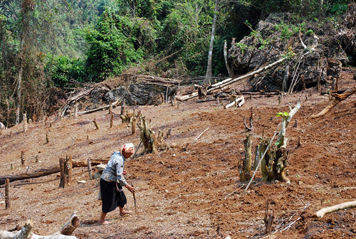 Người Thượng 6 - Nhìn lại vấn đề người Thượng | Vietnam Fraternité