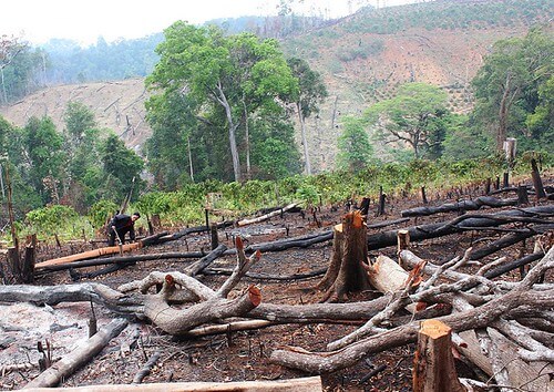 Người Thượng 4 - Vẫn trên đường đi tìm chỗ đứng | Vietnam Fraternité