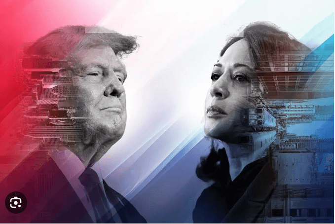 Hài hước bầu cử Mỹ : Tốn kém và phức tạp | Vietnam Fraternité