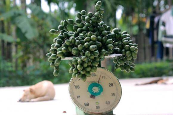 Dân ta chống dân mình cứ như chống ngoại xâm | Vietnam Fraternité