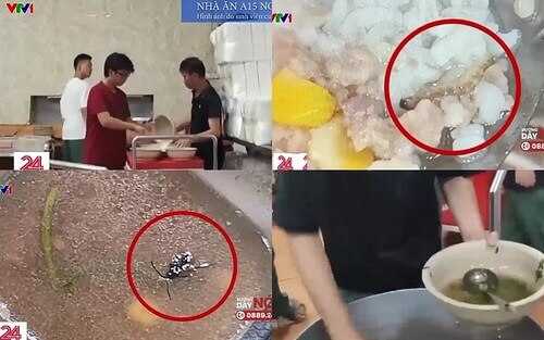 Chính sách "trăm năm trồng người" của chế độ cộng sản hiện nay | Vietnam Fraternité