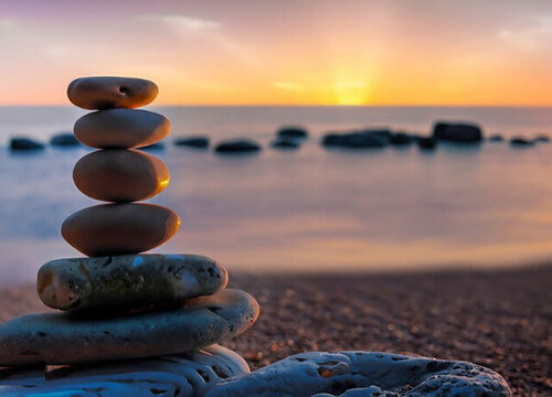 Quýt ngọt trồng ở Hoài Bắc ! | Vietnam Fraternité