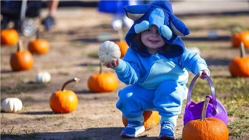Halloween và những ca khúc khó quên | Vietnam Fraternité