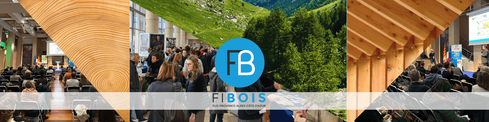 Rencontres Régionales Forêt-Bois 2024 : la filière forêt-bois face aux enjeux de la décarbonation | Fibois Sud