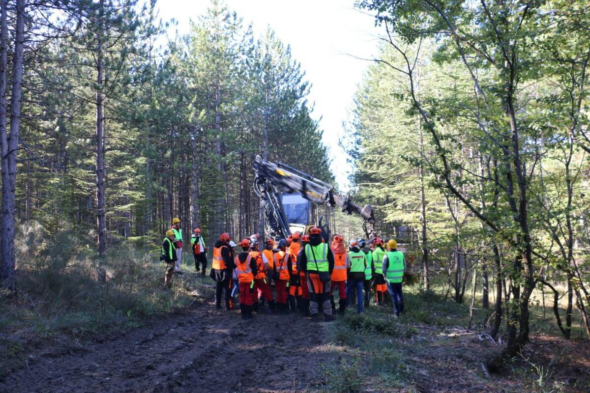 Retour sur un chantier "Very Wood Métiers" | Fibois Sud