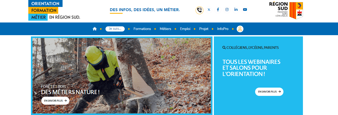 Orientation : Focus régional sur les métiers de la forêt et du bois | Fibois Sud