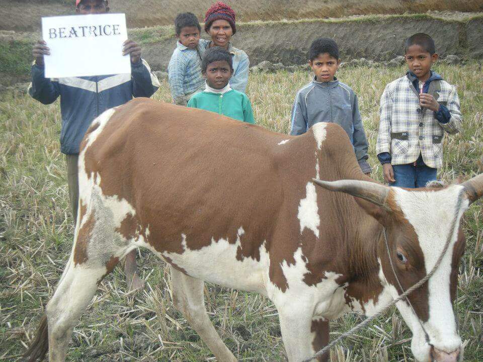 - | Le Lémurien - Maison de Madagascar