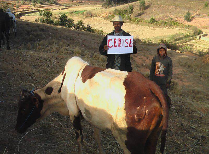 - | Le Lémurien - Maison de Madagascar