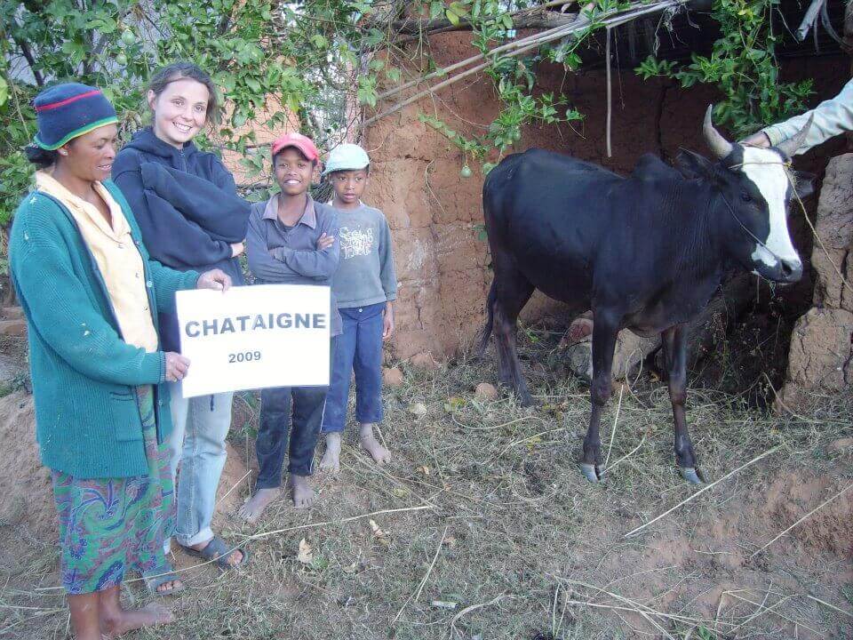 - | Le Lémurien - Maison de Madagascar