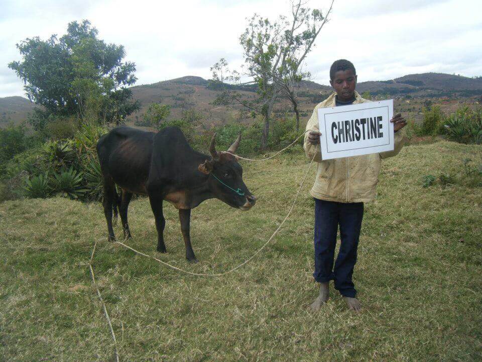 - | Le Lémurien - Maison de Madagascar
