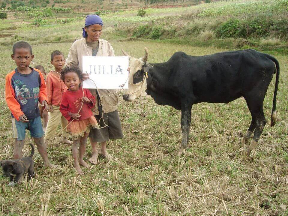 - | Le Lémurien - Maison de Madagascar