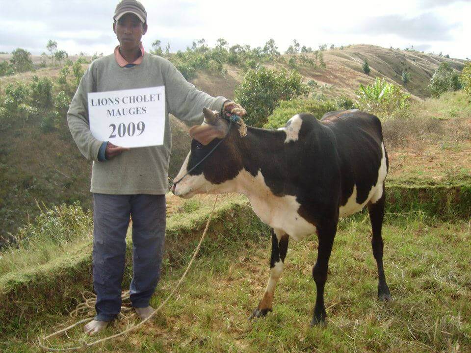 - | Le Lémurien - Maison de Madagascar