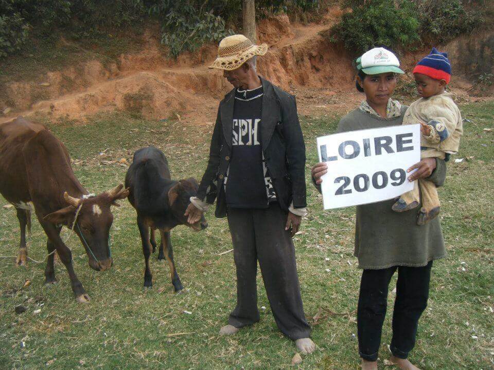 - | Le Lémurien - Maison de Madagascar