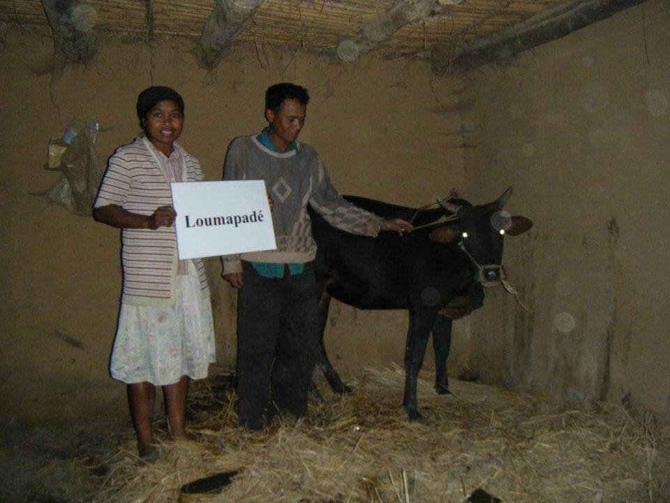 - | Le Lémurien - Maison de Madagascar