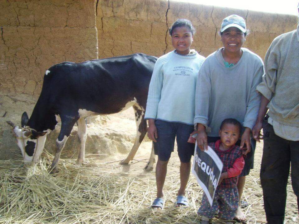 - | Le Lémurien - Maison de Madagascar