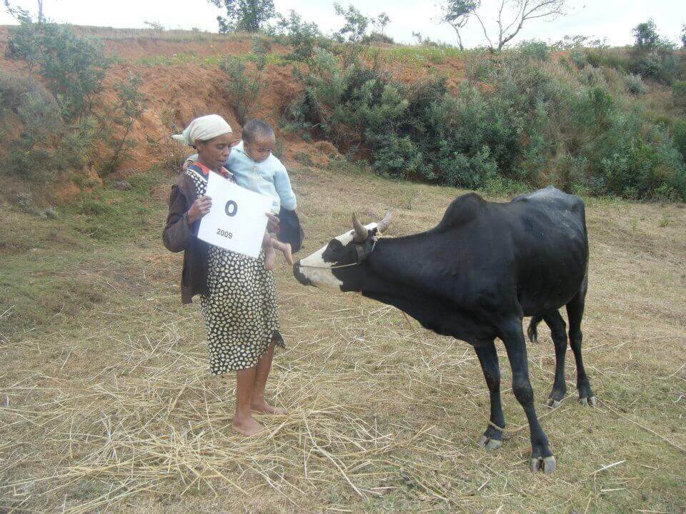 - | Le Lémurien - Maison de Madagascar