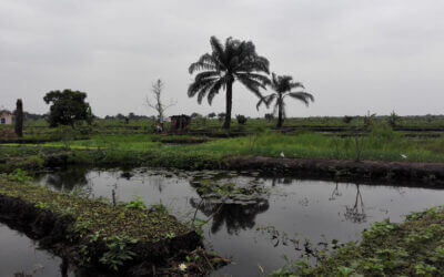 Projet « Terr’Eau » | Coopterre