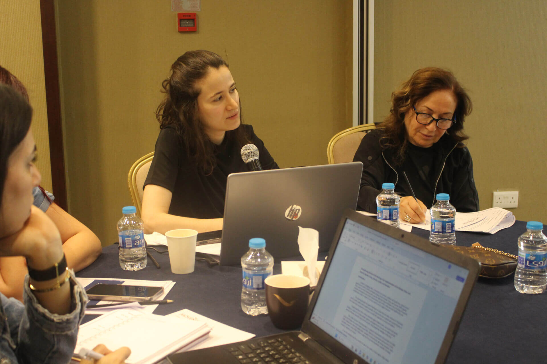 - | EFI - EuroMed Feminist Initiative