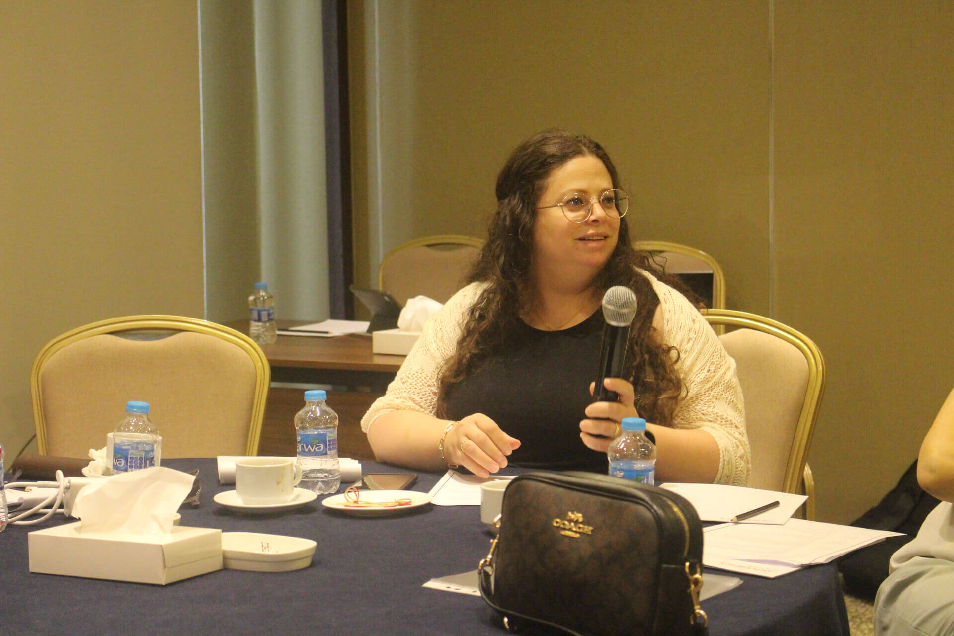 - | EFI - EuroMed Feminist Initiative