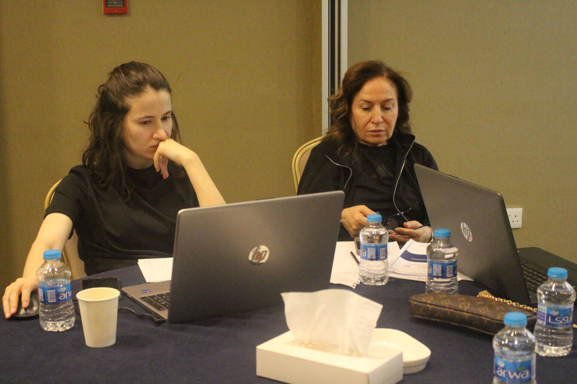 - | EFI - EuroMed Feminist Initiative