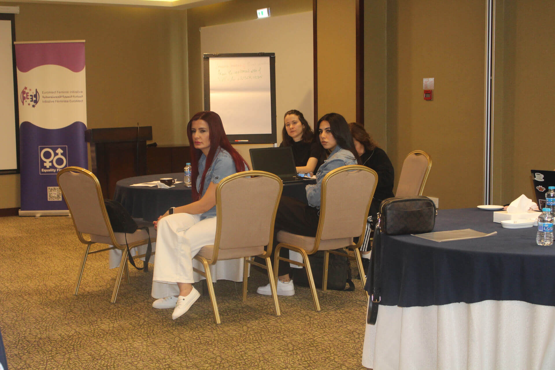 - | EFI - EuroMed Feminist Initiative