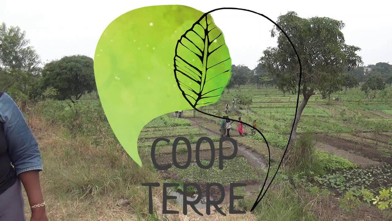 CoopTerre Projet Terr'Eau  Site Twenge