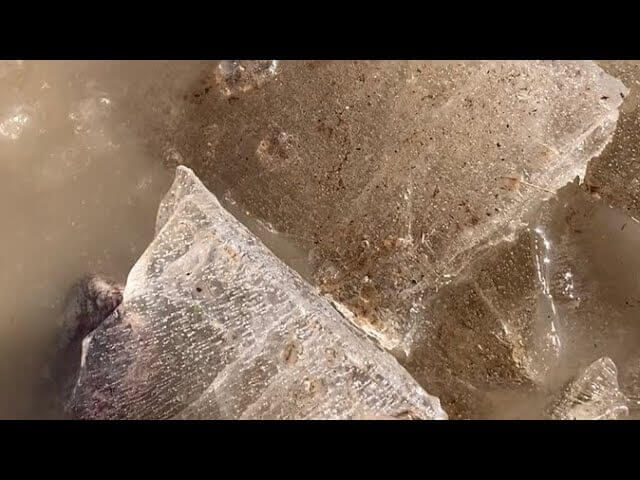 « La vue du chien lui mit une idée sauvage en tête », une fiction sonore de Thibaut Kuttler | La Réplique