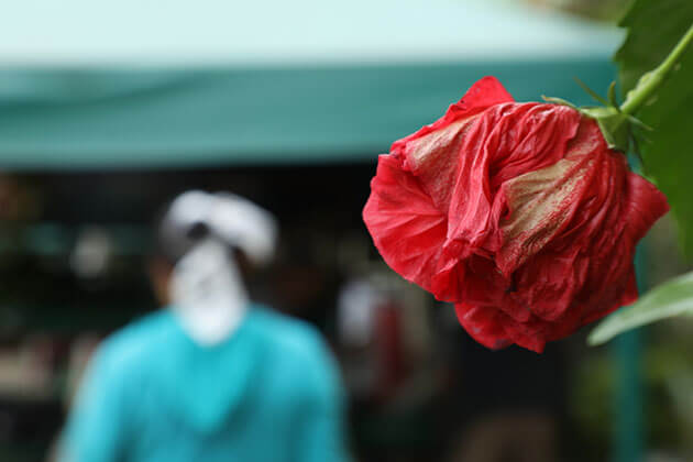 Time to Redesign Global Development Finance | Forus