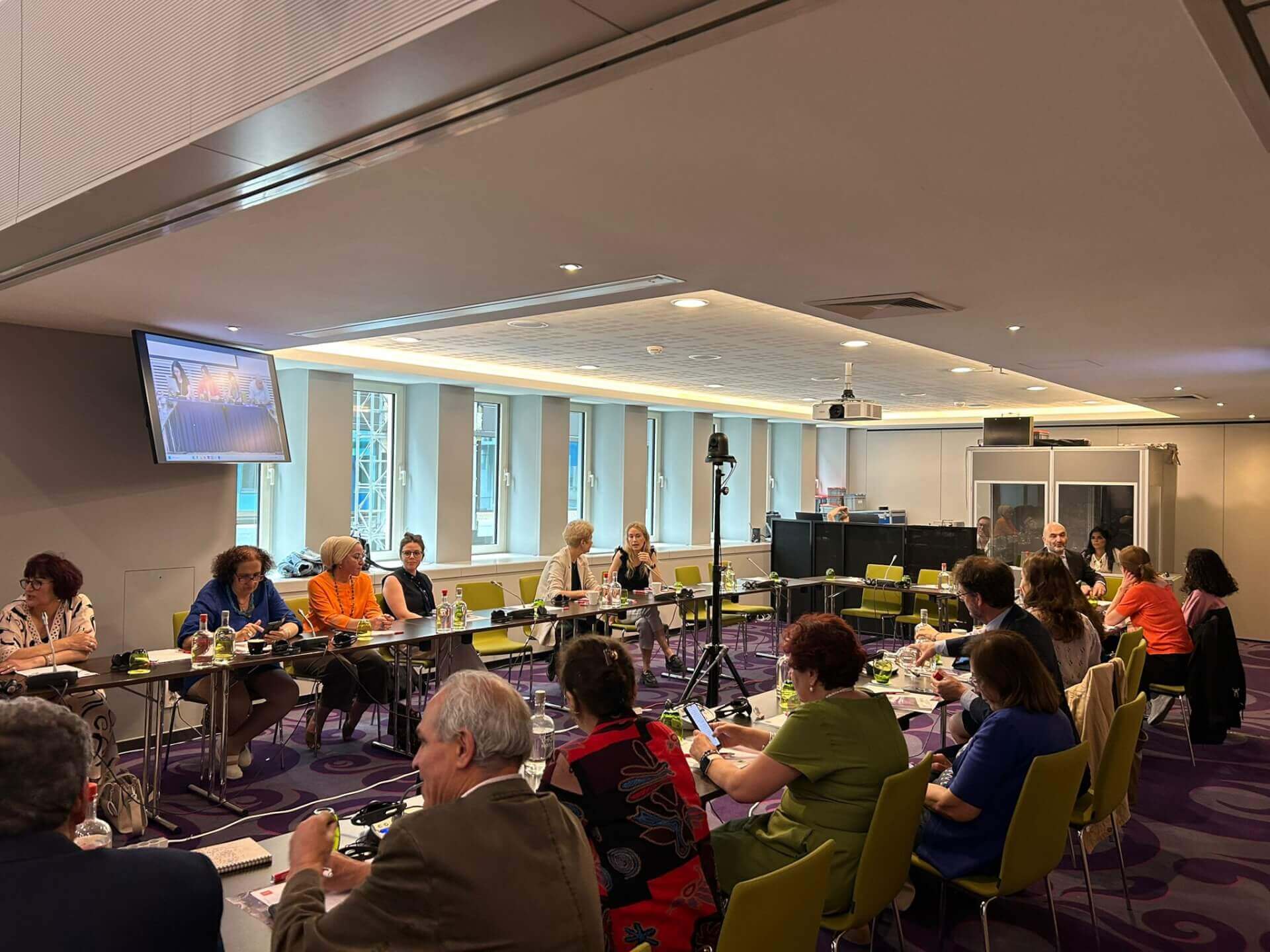 - | EFI - EuroMed Feminist Initiative