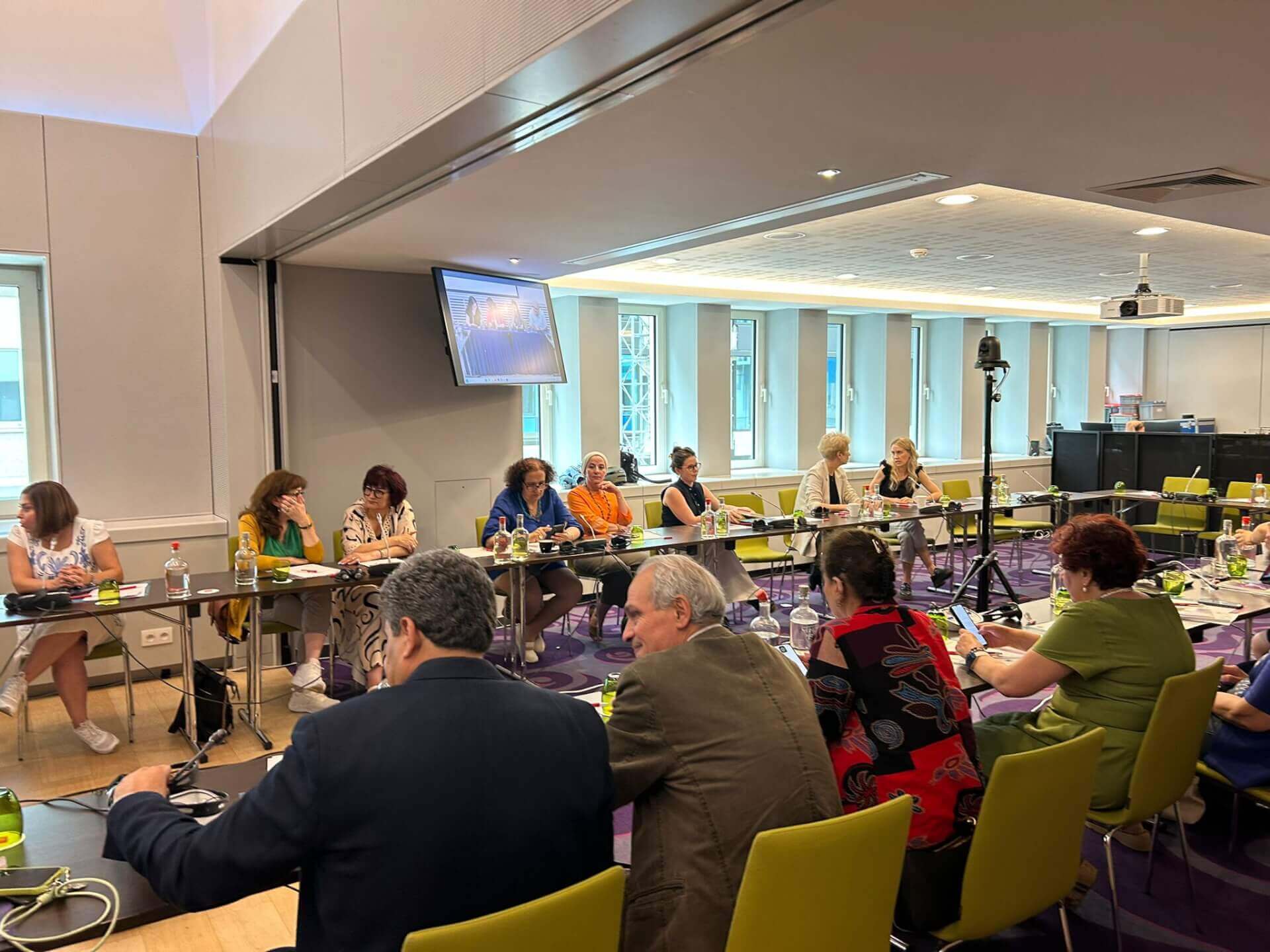 - | EFI - EuroMed Feminist Initiative