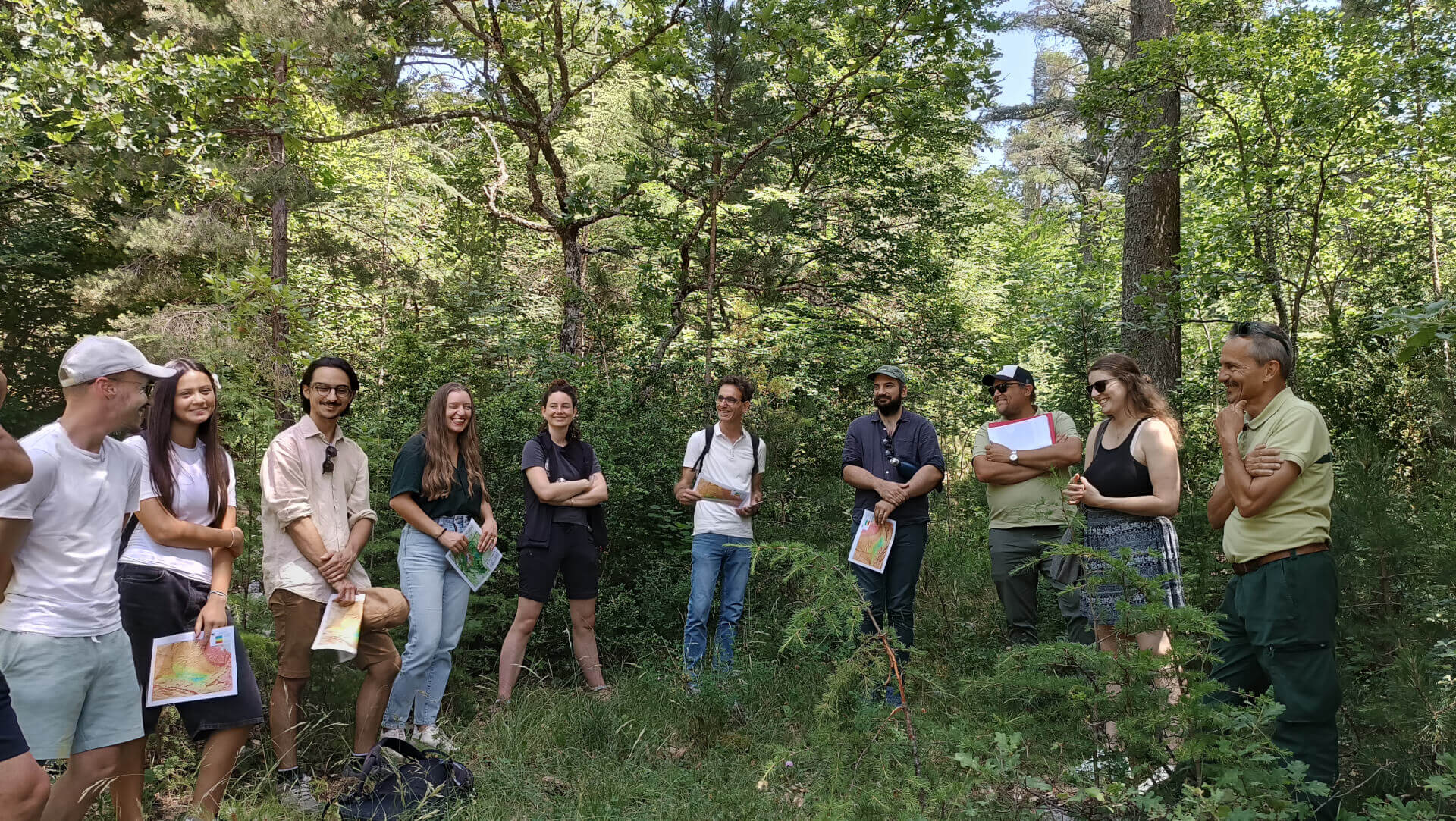 Valorisation du Cèdre de l’Atlas : visites techniques sur le Mont Ventoux | Fibois Sud