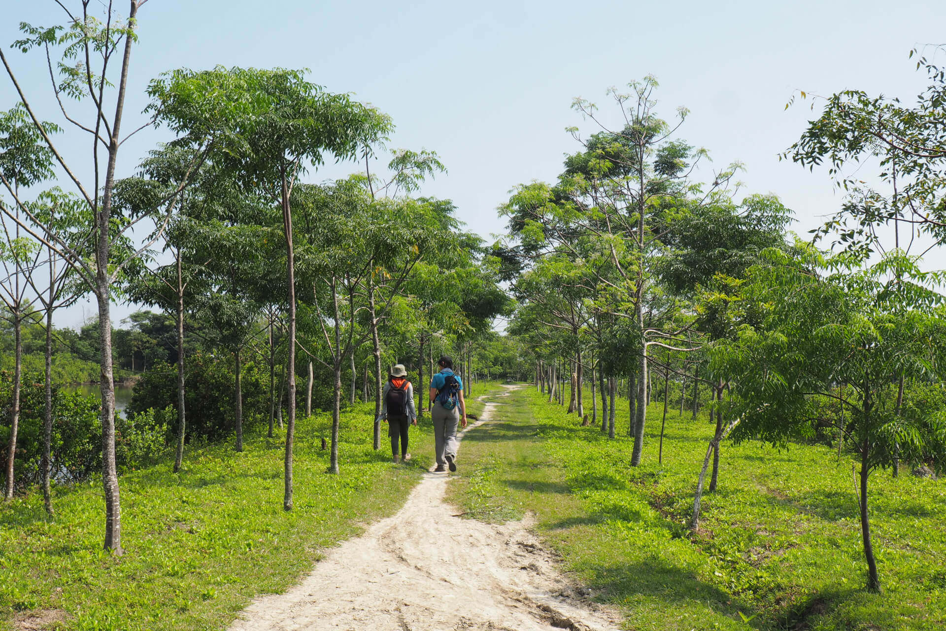 Notre champ d'action | Coopterre