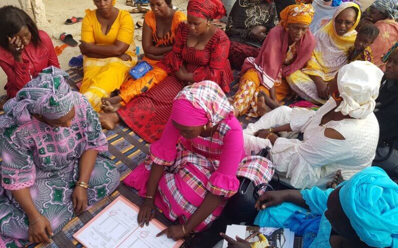 Pépinière communautaire et végétalisation de la Cité FSH | Coopterre