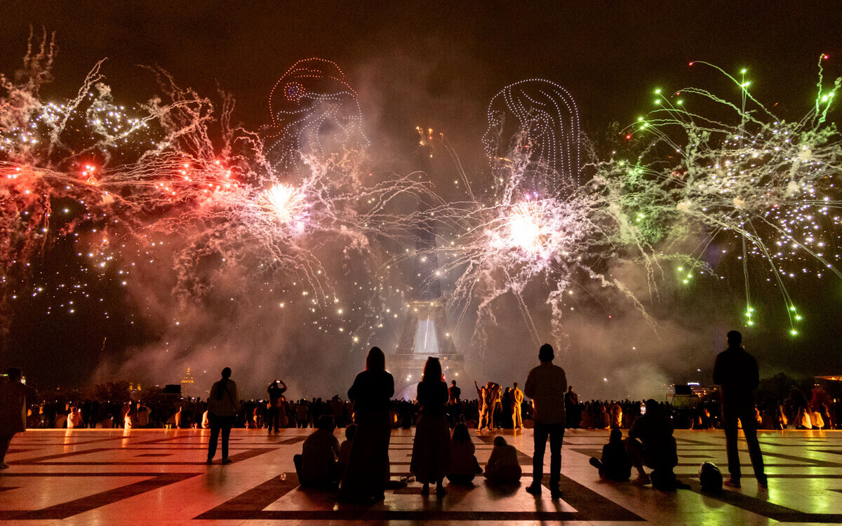 Hai cánh chim nước Pháp trên bầu trời Paris | Vietnam Fraternité