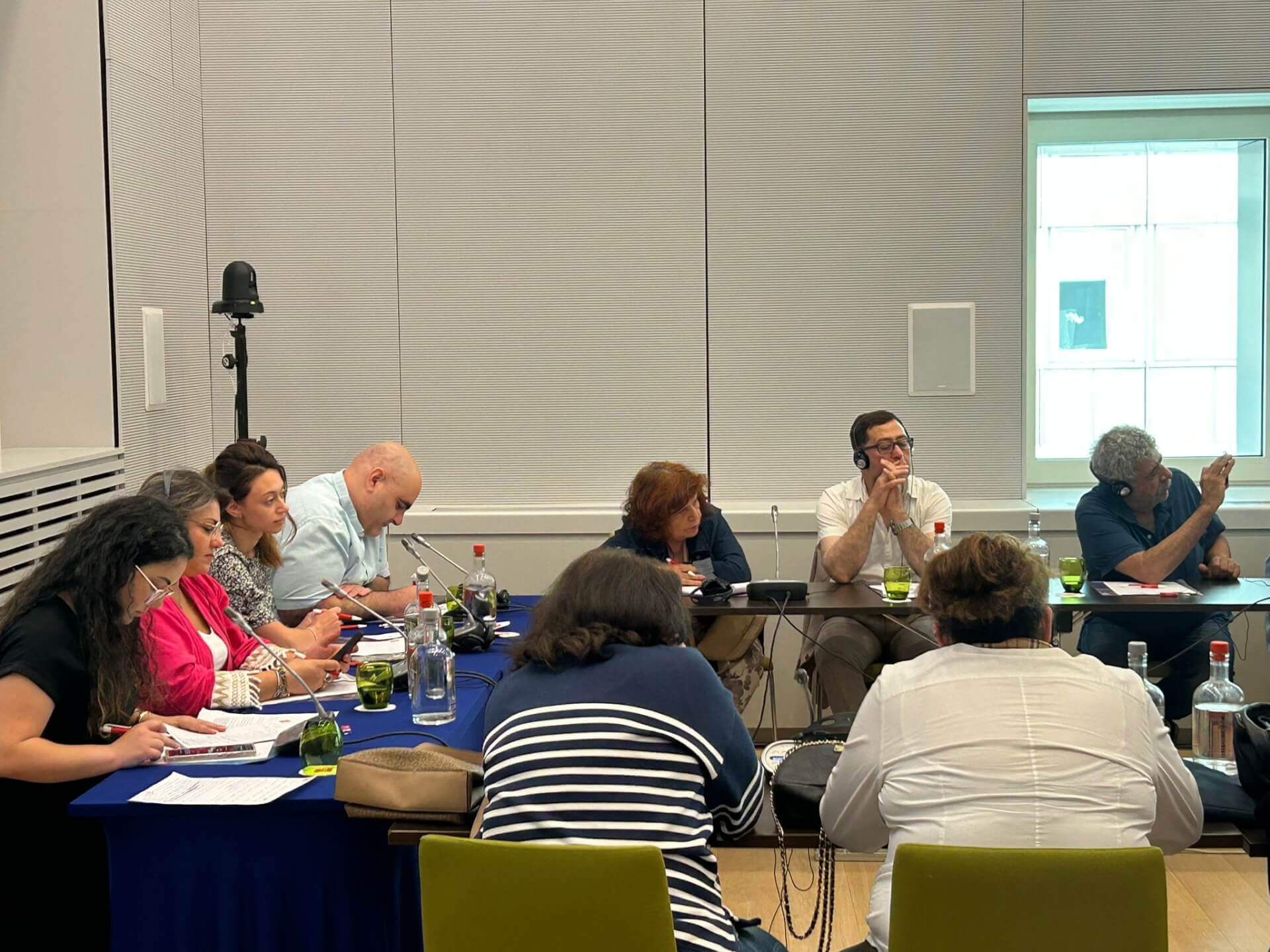 - | EFI - EuroMed Feminist Initiative