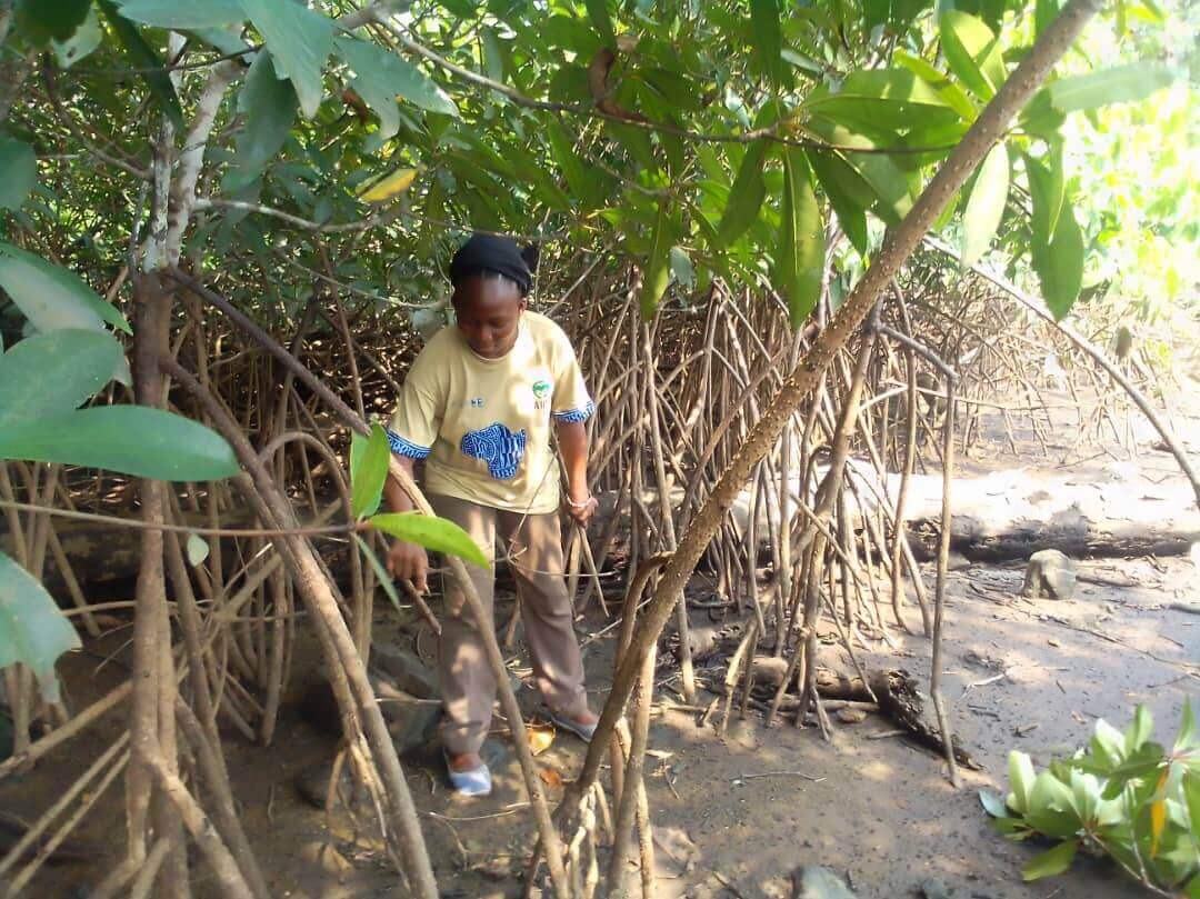 - | Appui aux Initiatives de Développement - AIDE Cameroun